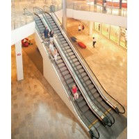 Residential Escalator Indoor and Outdoor with 800mm Width escalator